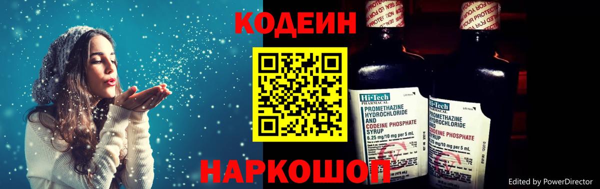 APVP Камышлов