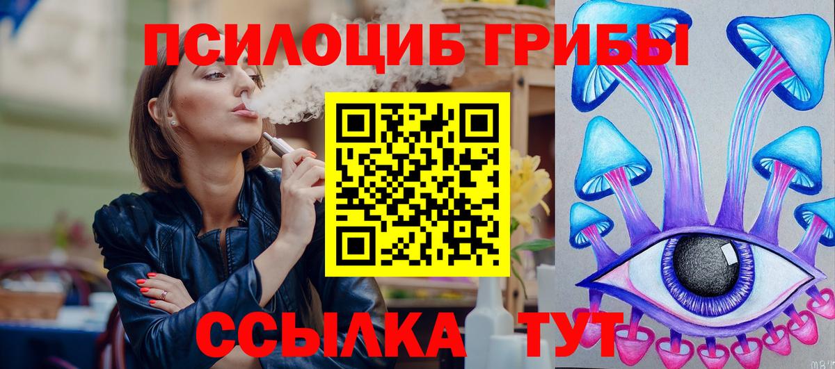 Камышлов  что такое наркотик  Вход с VPN  Галлюциногенные грибы мухоморы 